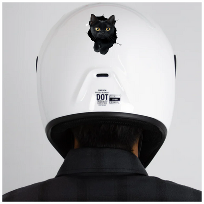 Black Cat With Bright Yellow Eyes Vinyl Sticker Decal