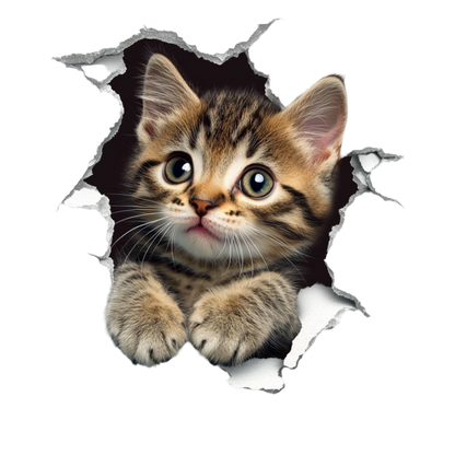 Brown Tabby Kitten With Green Eyes Vinyl Sticker Decal
