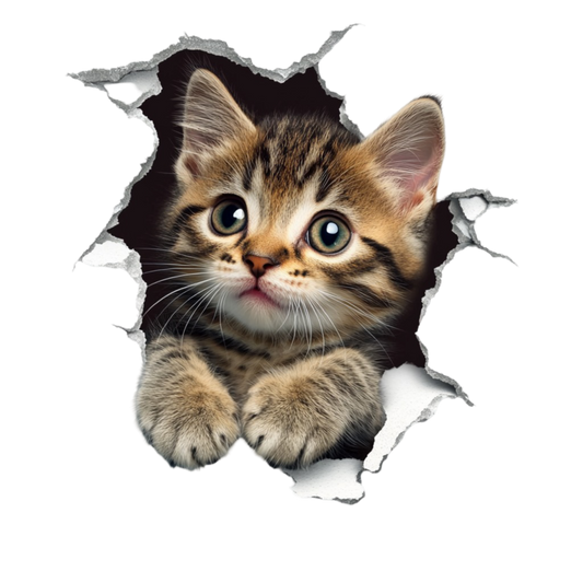 Brown Tabby Kitten With Green Eyes Vinyl Sticker Decal