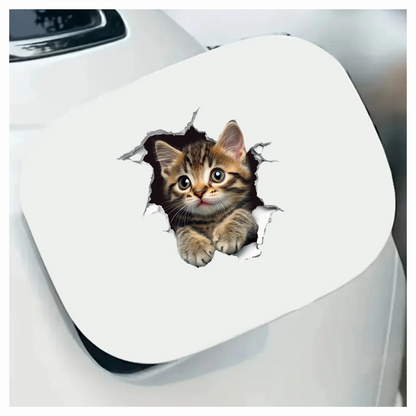 Brown Tabby Kitten With Green Eyes Vinyl Sticker Decal