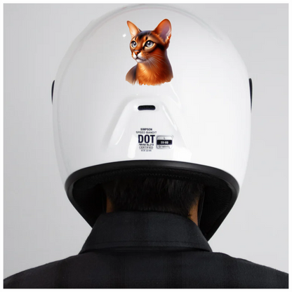Brown Abyssinian Cat With Blue Eyes Vinyl Sticker Decal