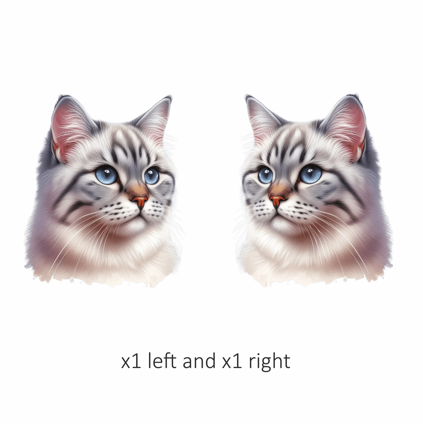 White Tabby Cat With Blue Eyes Vinyl Sticker Decal