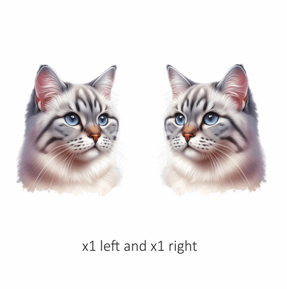 White Tabby Cat With Blue Eyes Vinyl Sticker Decal