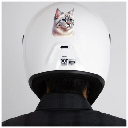 White Tabby Cat With Blue Eyes Vinyl Sticker Decal