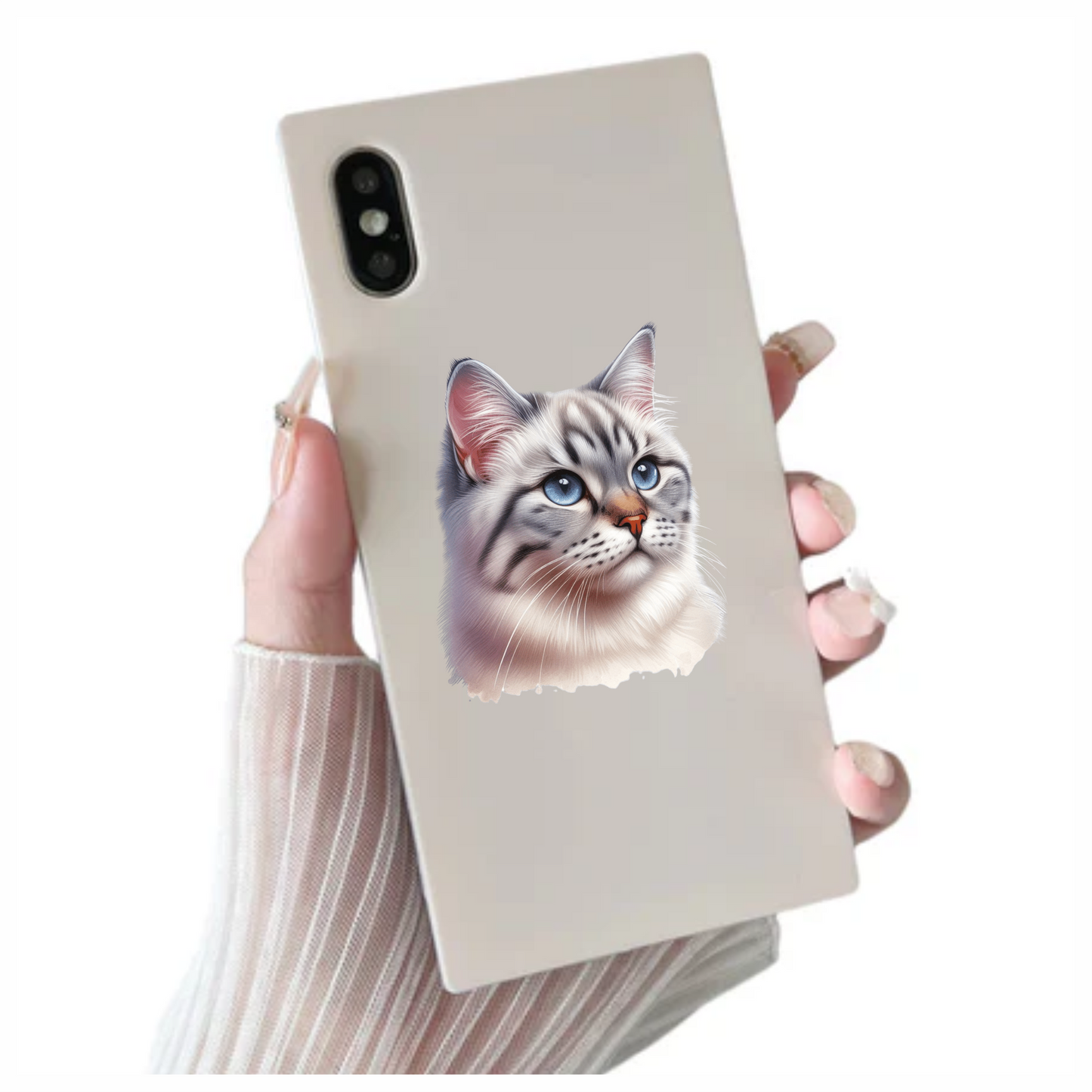 White Tabby Cat With Blue Eyes Vinyl Sticker Decal