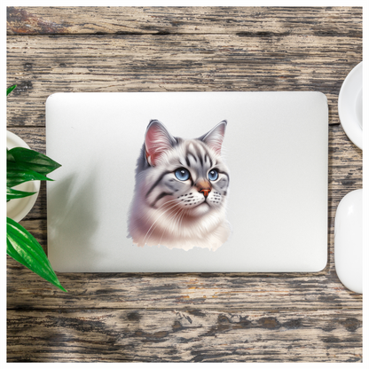 White Tabby Cat With Blue Eyes Vinyl Sticker Decal