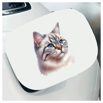 White Tabby Cat With Blue Eyes Vinyl Sticker Decal