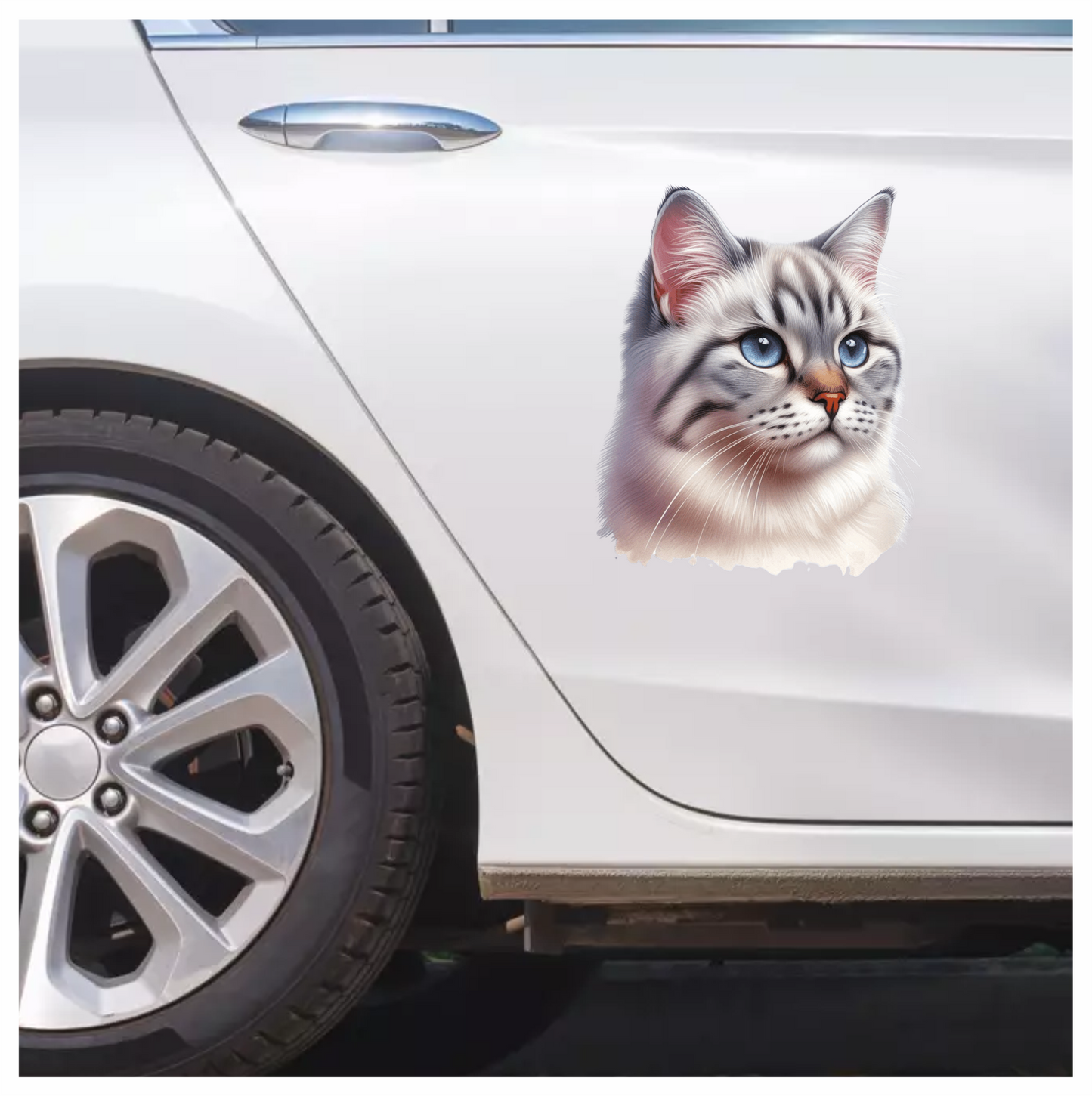 White Tabby Cat With Blue Eyes Vinyl Sticker Decal