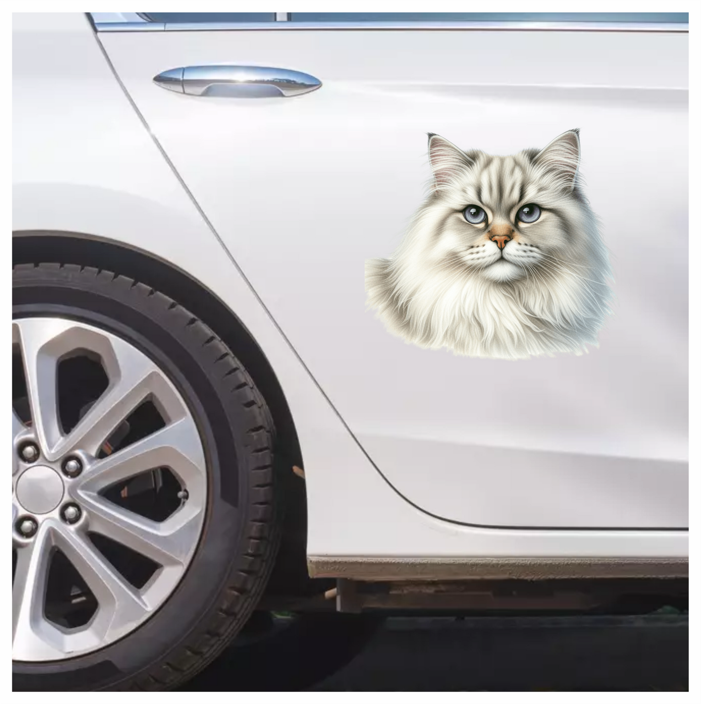 White Siberian Cat With Blue Eyes Vinyl Sticker Decal