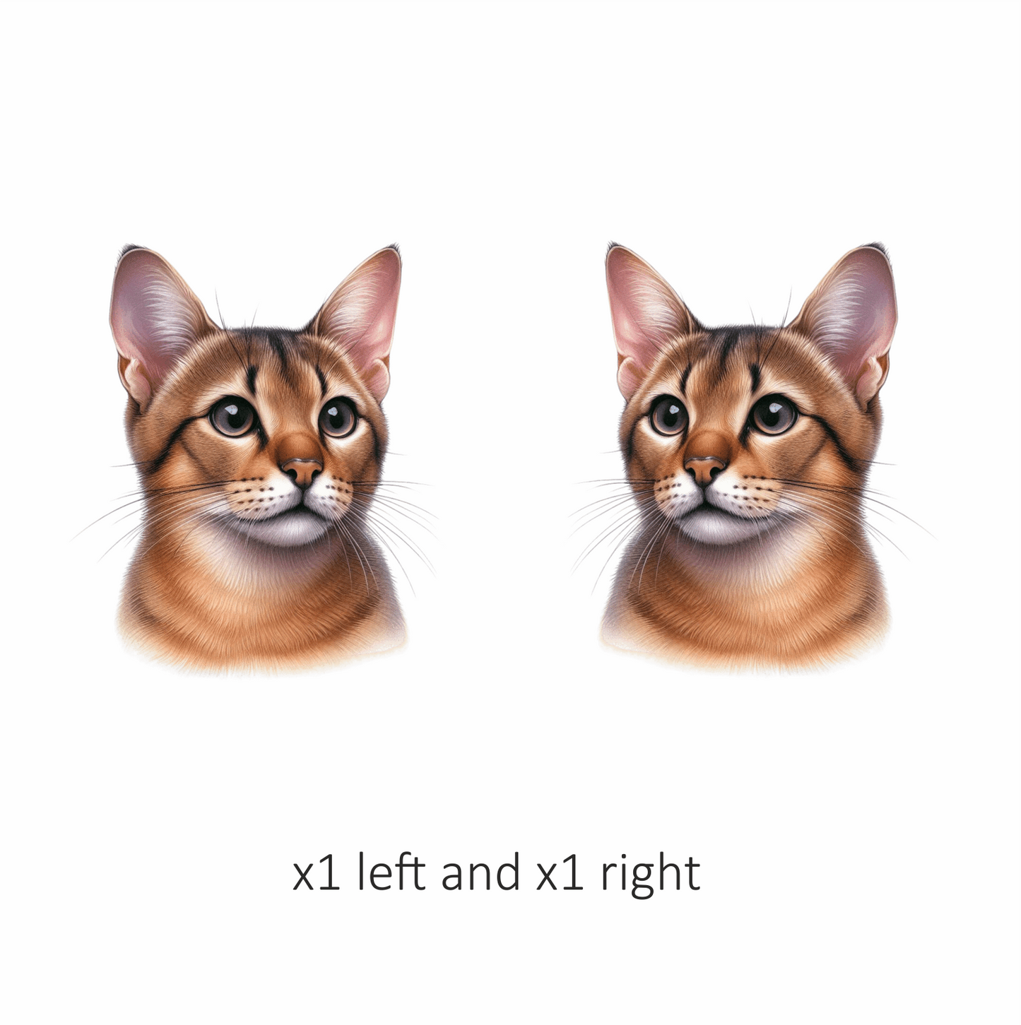 Brown Abyssinian Cat With Dark Eyes Vinyl Sticker Decal