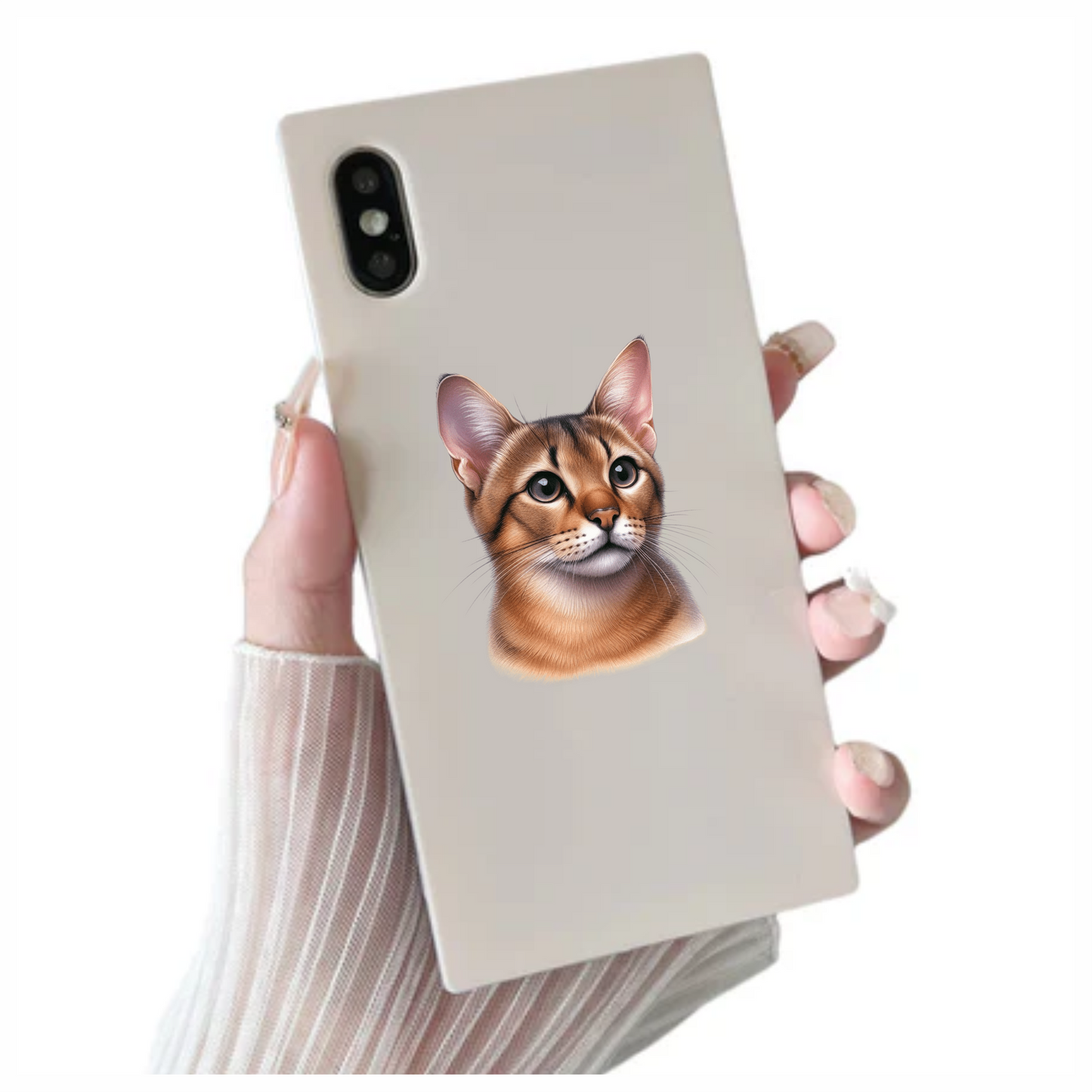 Brown Abyssinian Cat With Dark Eyes Vinyl Sticker Decal