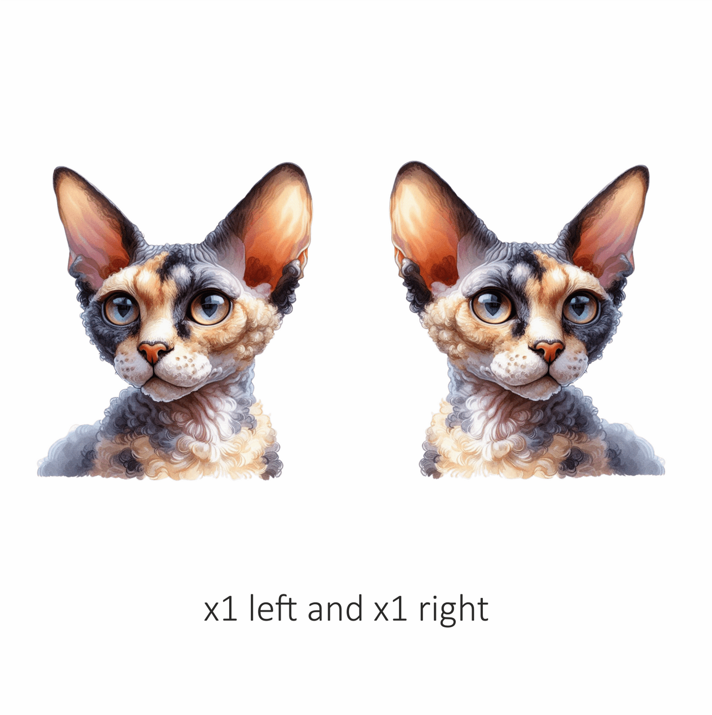 Calico Devon Rex Cat With Large Ears Vinyl Sticker Decal