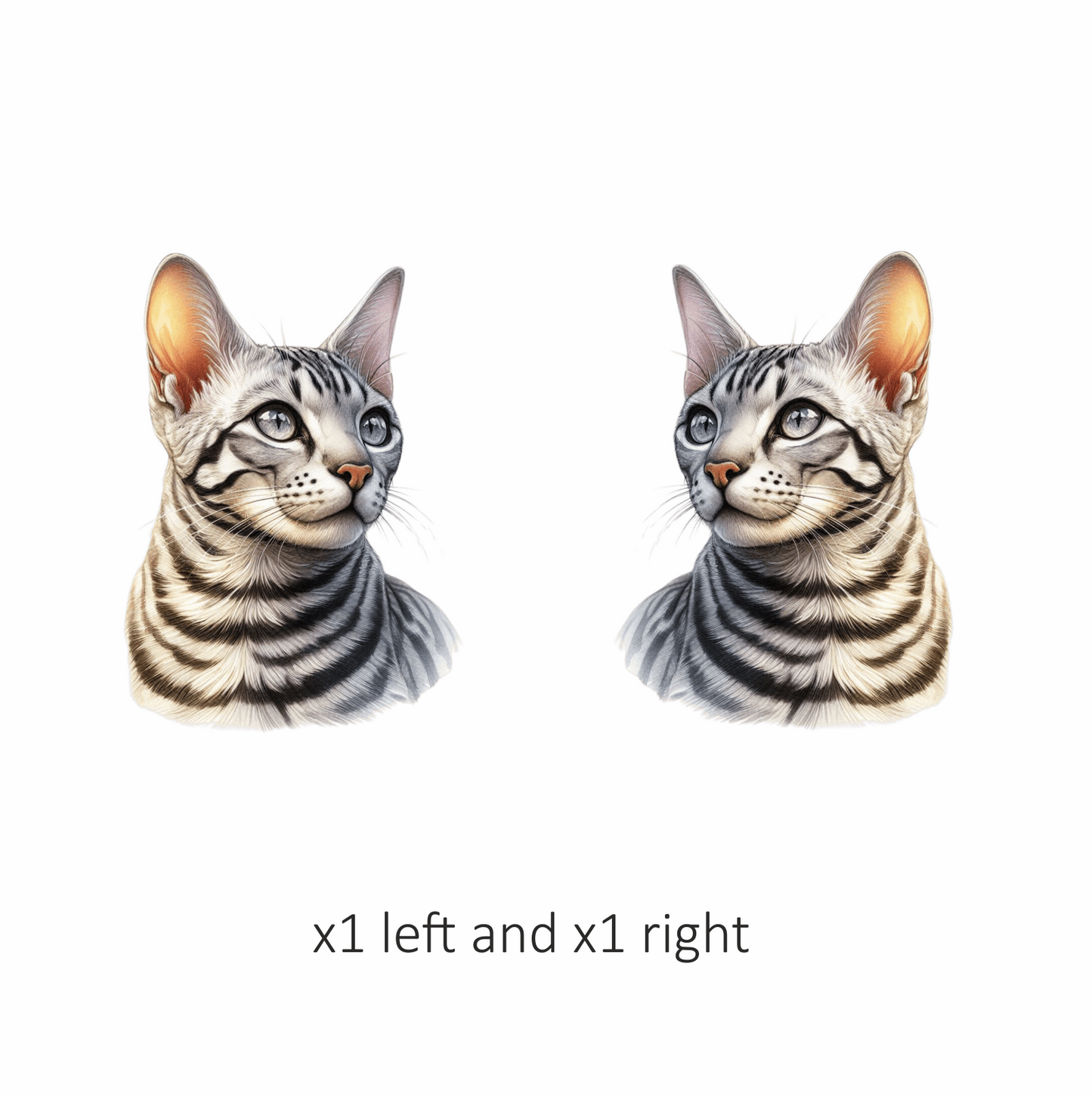 Gray Bengal Cat With Striped Vinyl Sticker Decal