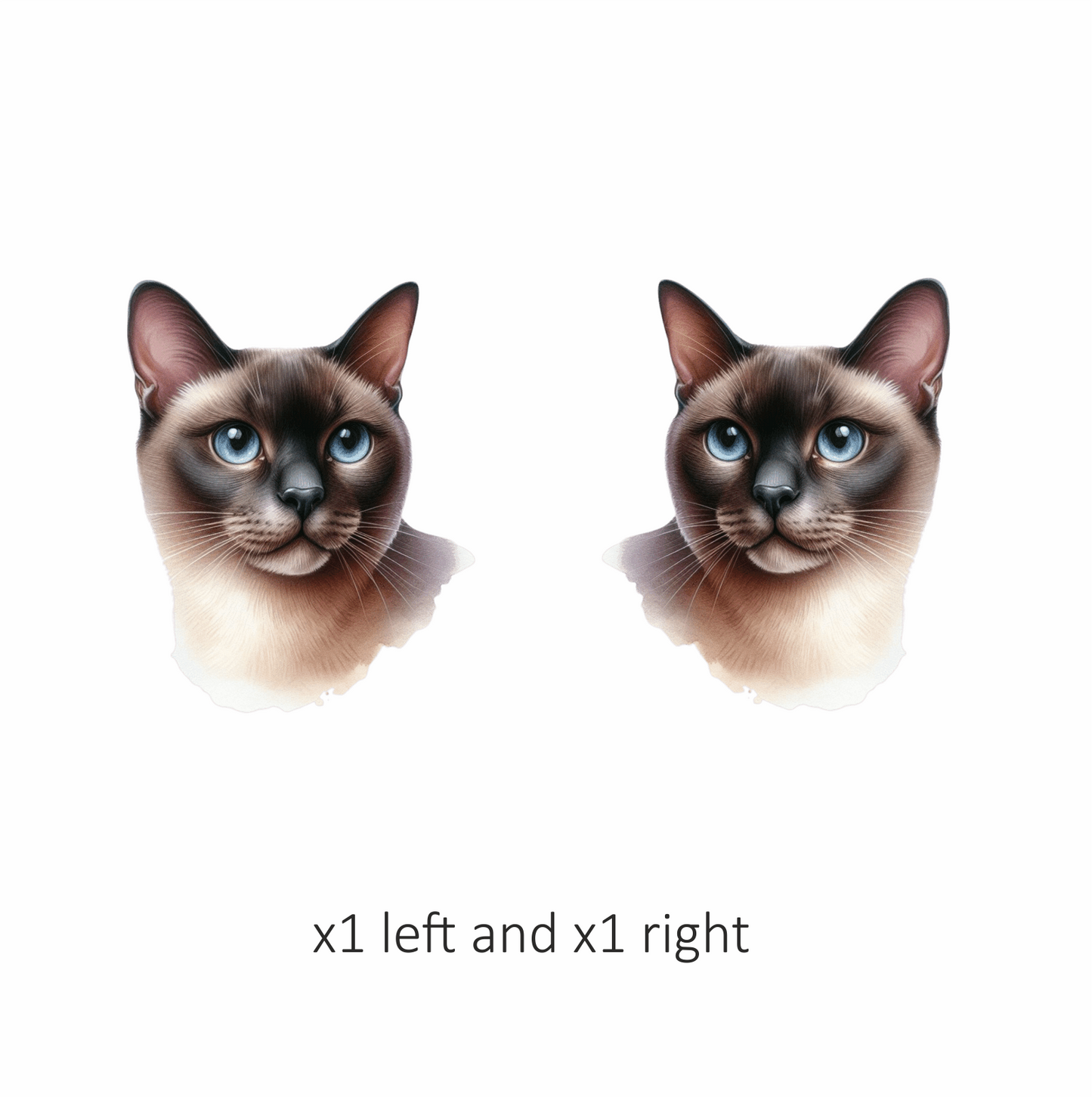 Brown Siamese Cat With Blue Eyes Vinyl Sticker Decal