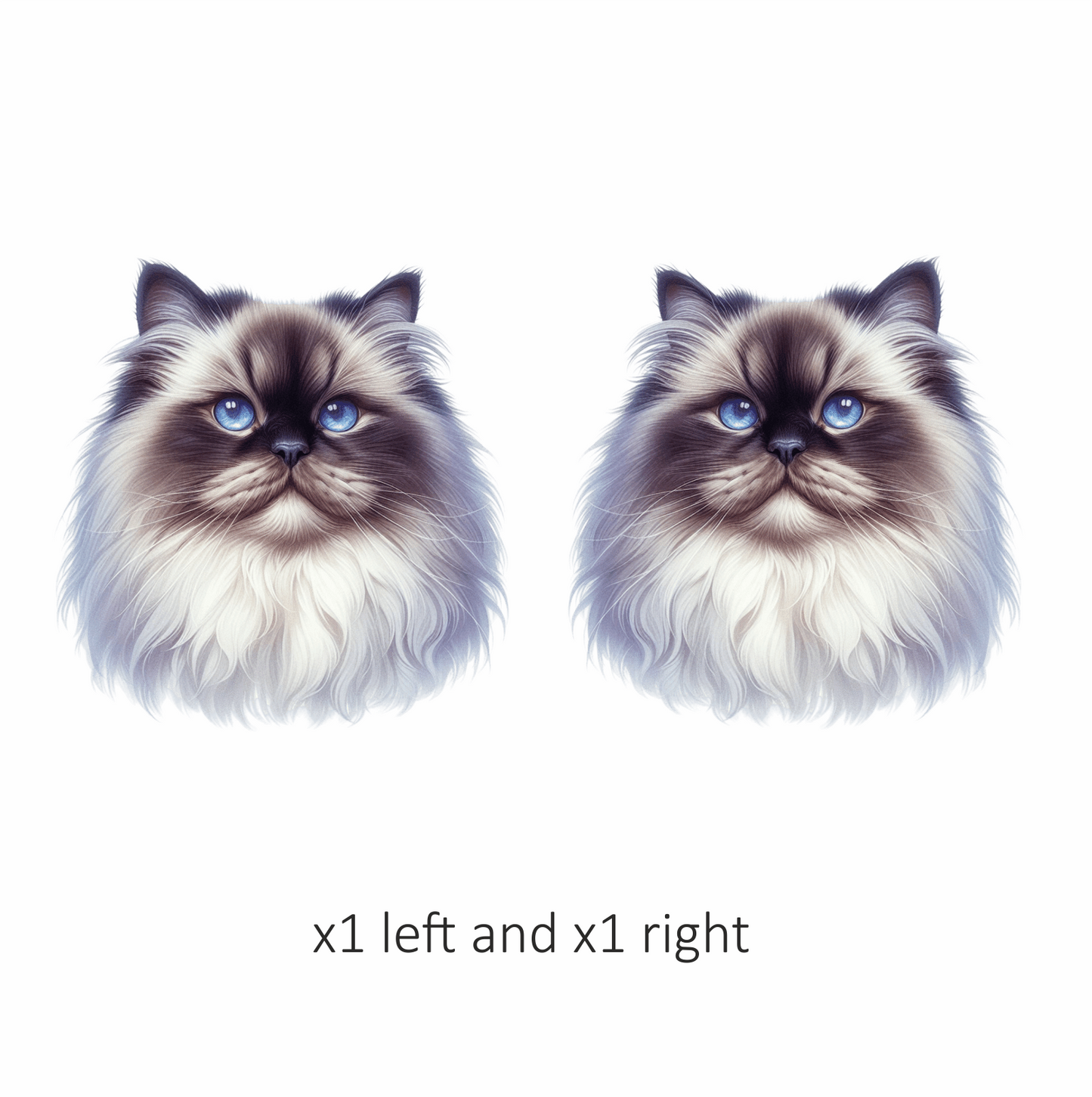 White Himalayan Cat With Blue Eyes Vinyl Sticker Decal