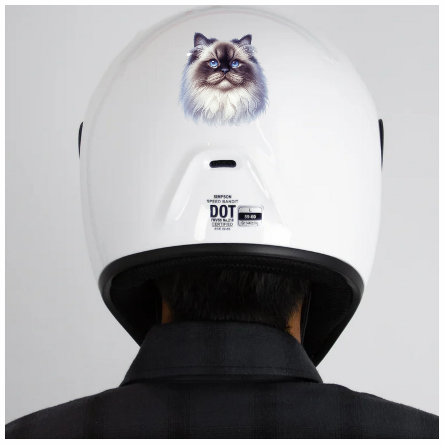 White Himalayan Cat With Blue Eyes Vinyl Sticker Decal