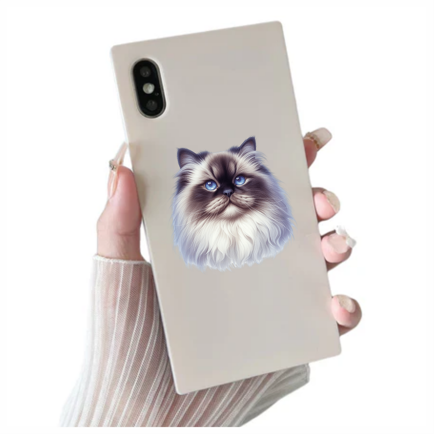 White Himalayan Cat With Blue Eyes Vinyl Sticker Decal