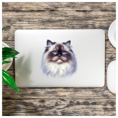 White Himalayan Cat With Blue Eyes Vinyl Sticker Decal