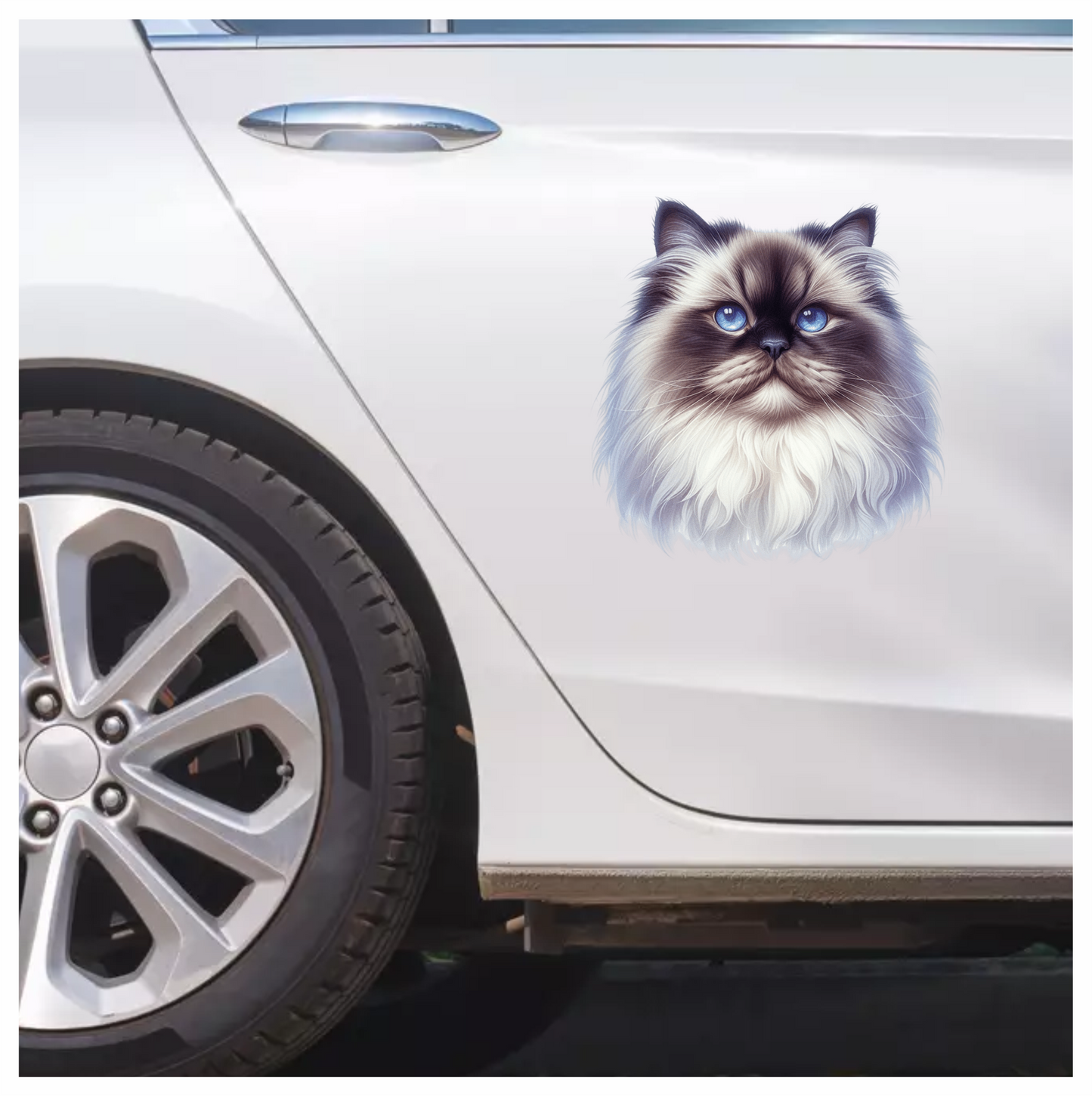 White Himalayan Cat With Blue Eyes Vinyl Sticker Decal
