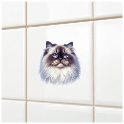 White Himalayan Cat With Blue Eyes Vinyl Sticker Decal