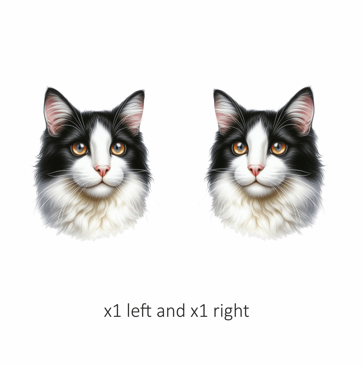 Black White Cat With Orange Eyes Vinyl Sticker Decal