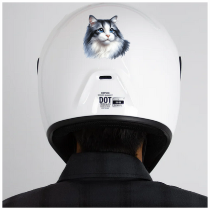 Gray White Cat With Blue Eyes Vinyl Sticker Decal