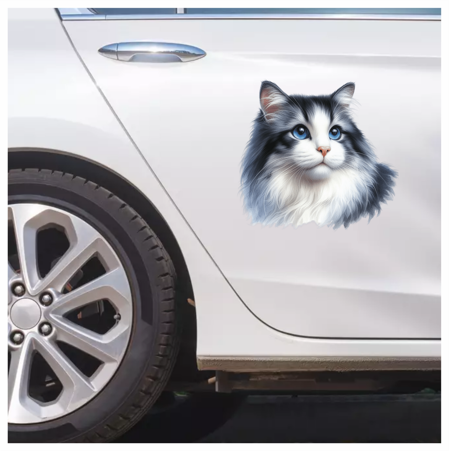 Gray White Cat With Blue Eyes Vinyl Sticker Decal