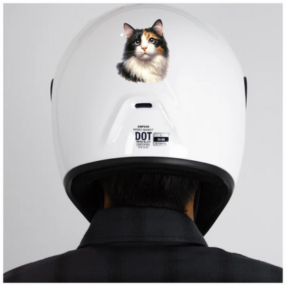 Black White Calico Cat With Eyes Vinyl Sticker Decal