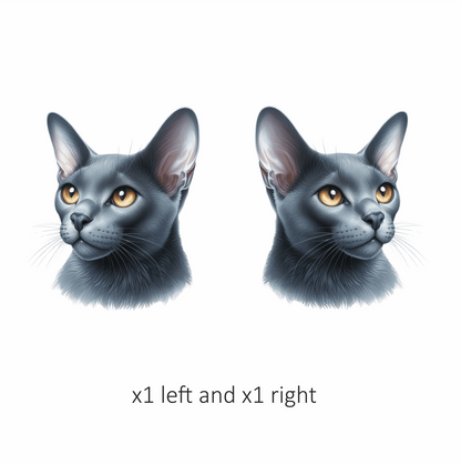 Gray Burmese Cat With Orange Eyes Vinyl Sticker Decal