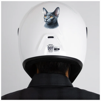 Gray Burmese Cat With Orange Eyes Vinyl Sticker Decal