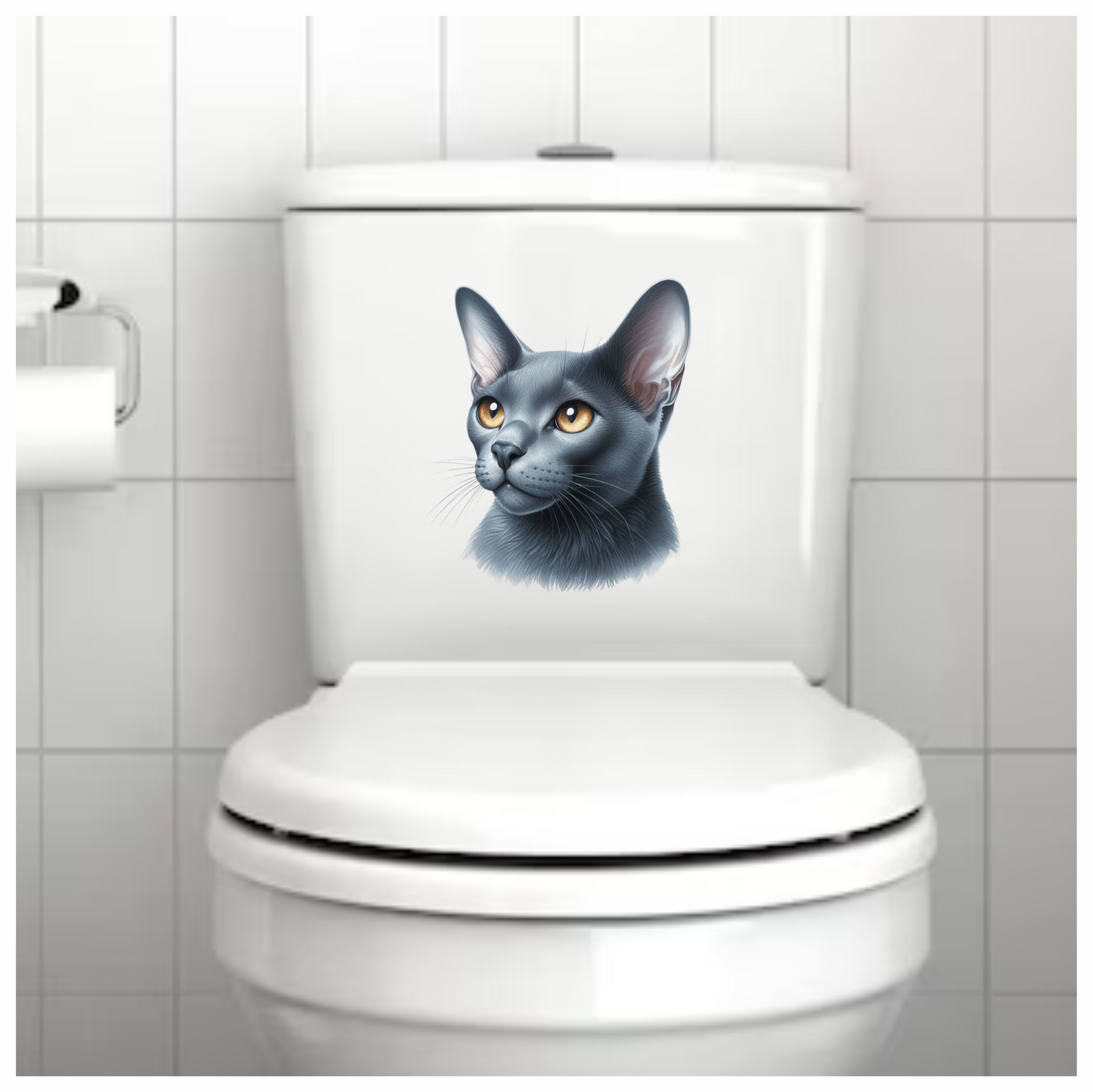 Gray Burmese Cat With Orange Eyes Vinyl Sticker Decal