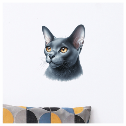 Gray Burmese Cat With Orange Eyes Vinyl Sticker Decal