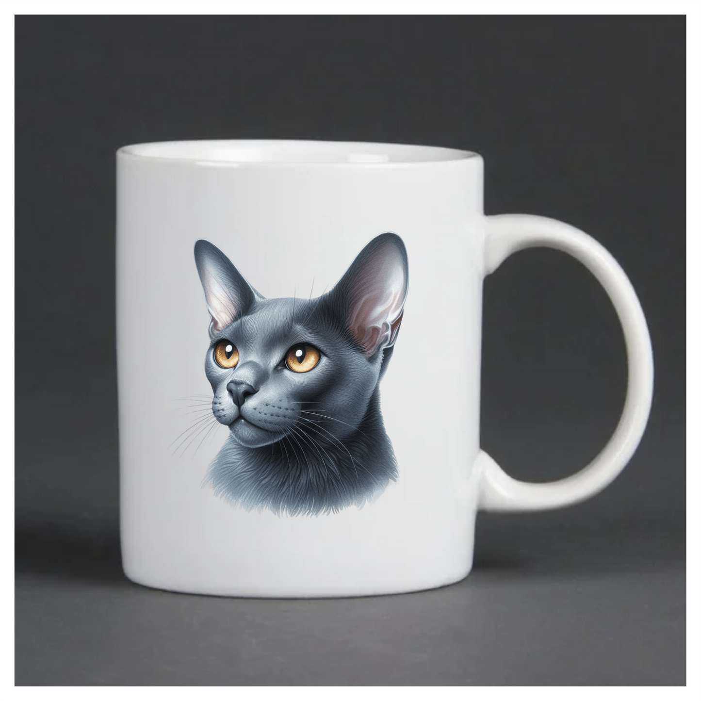 Gray Burmese Cat With Orange Eyes Vinyl Sticker Decal