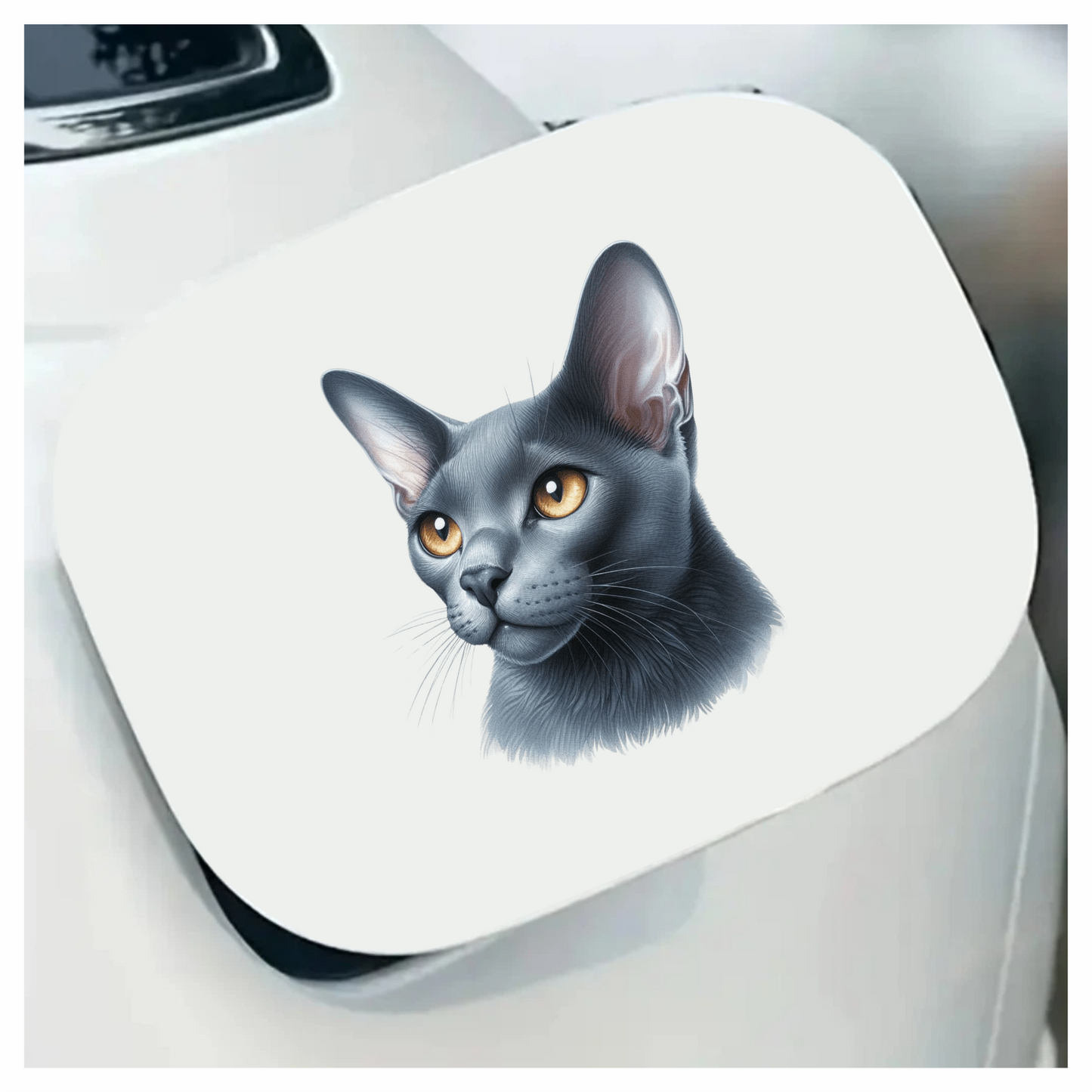 Gray Burmese Cat With Orange Eyes Vinyl Sticker Decal
