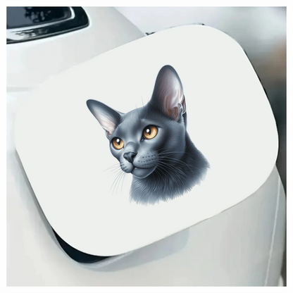 Gray Burmese Cat With Orange Eyes Vinyl Sticker Decal
