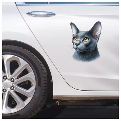 Gray Burmese Cat With Orange Eyes Vinyl Sticker Decal
