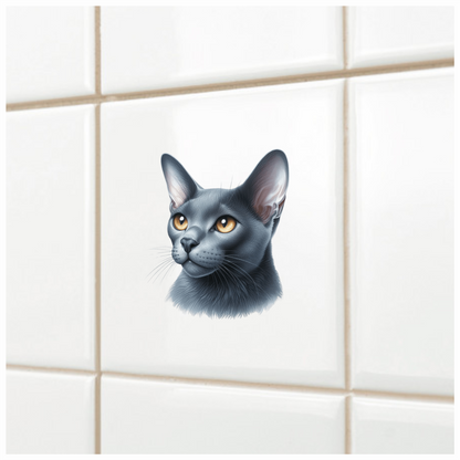 Gray Burmese Cat With Orange Eyes Vinyl Sticker Decal