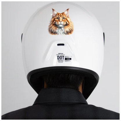 Orange Maine Coon Cat With Golden Eyes Vinyl Sticker Decal
