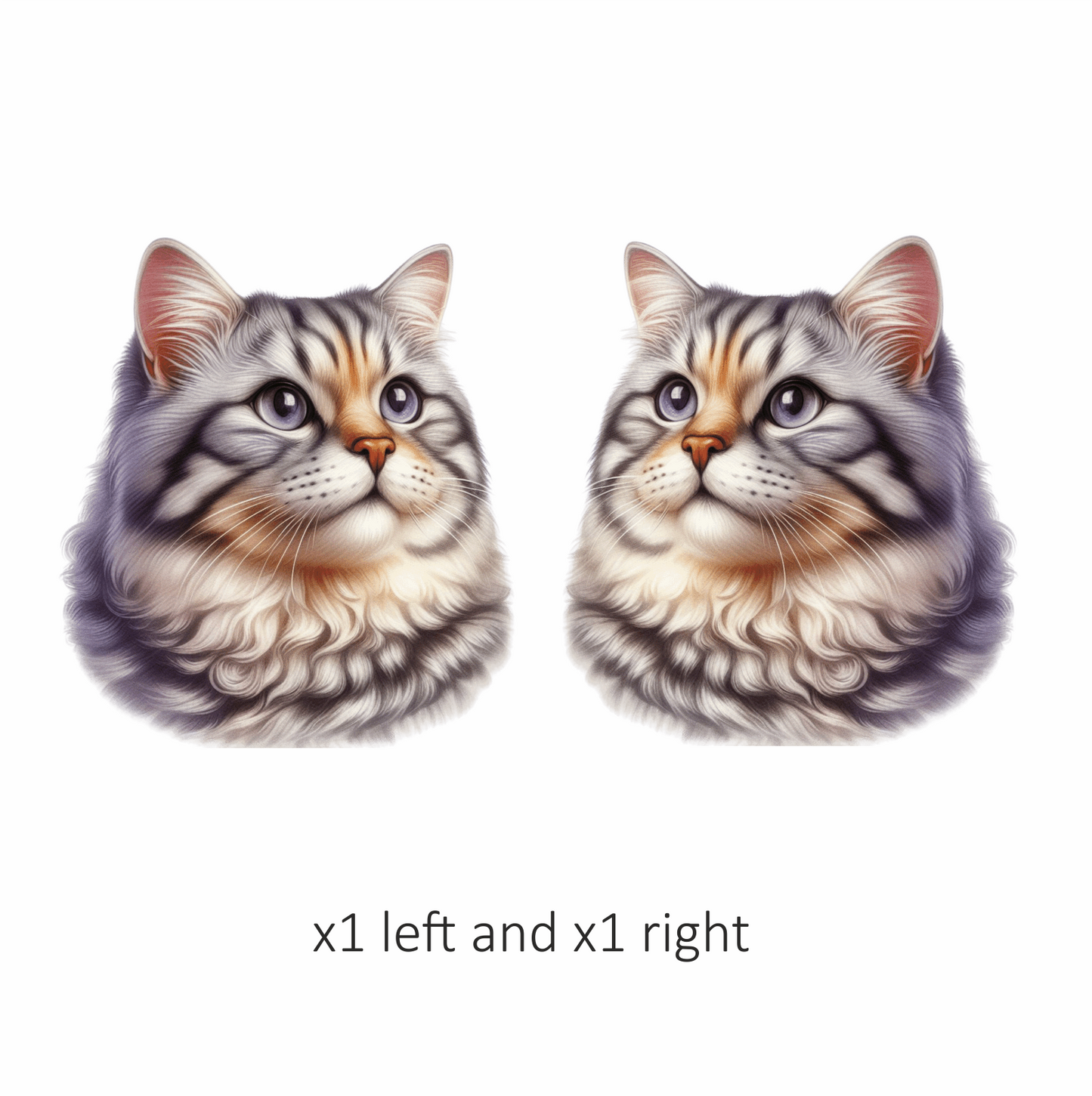 Gray Siberian Cat With Purple Eyes Vinyl Sticker Decal