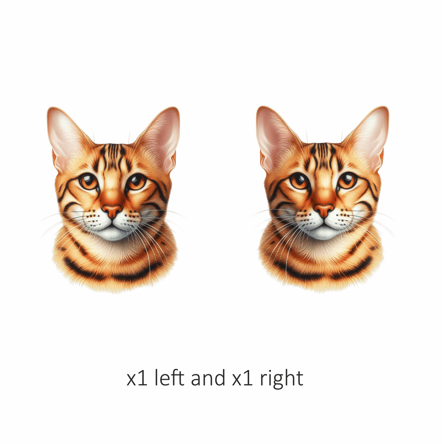 Orange Bengal Cat With Brown Eyes Vinyl Sticker Decal