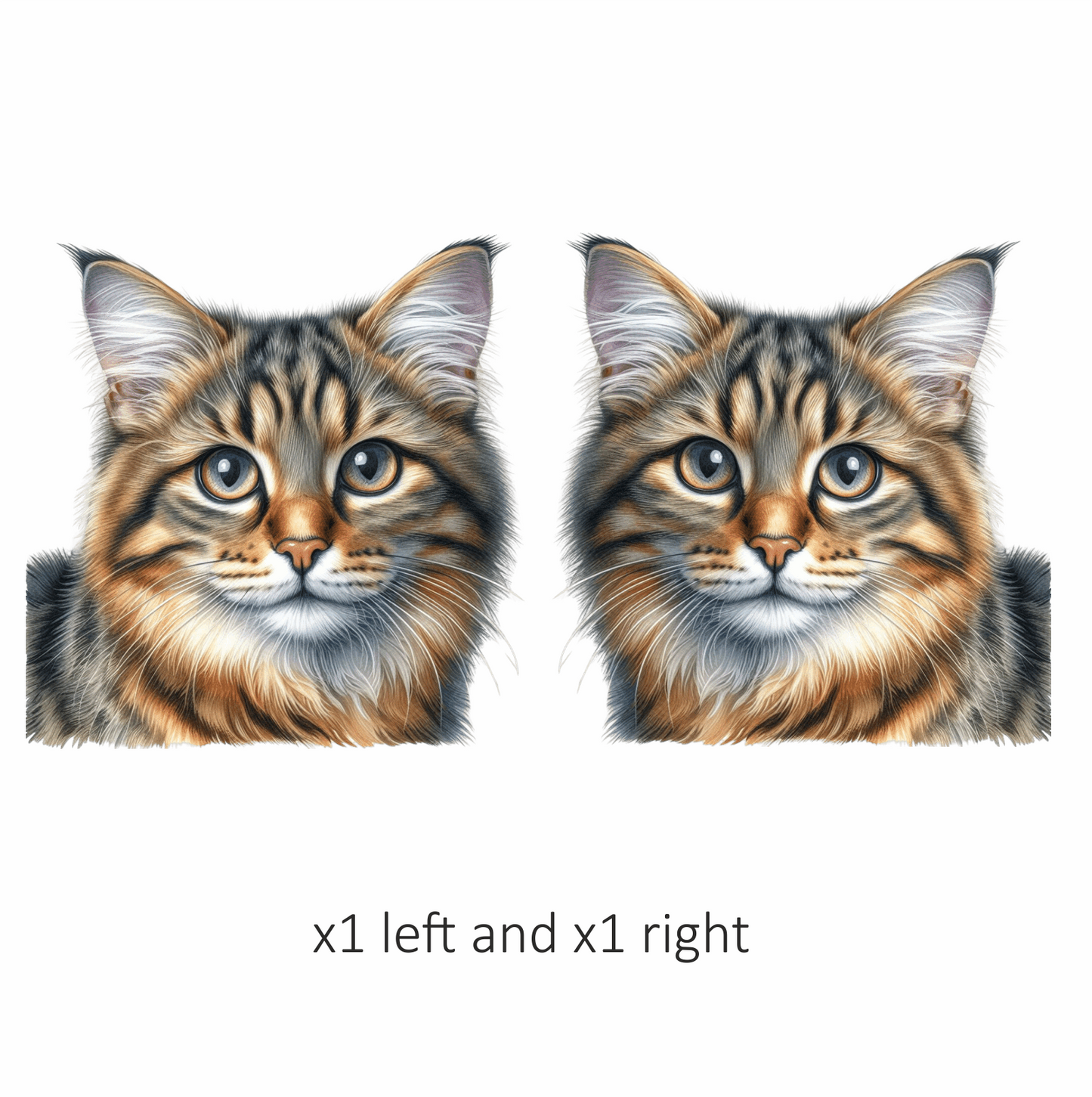 Brown Tabby Cat With Grey Eyes Vinyl Sticker Decal