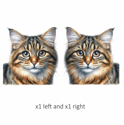 Brown Tabby Cat With Grey Eyes Vinyl Sticker Decal