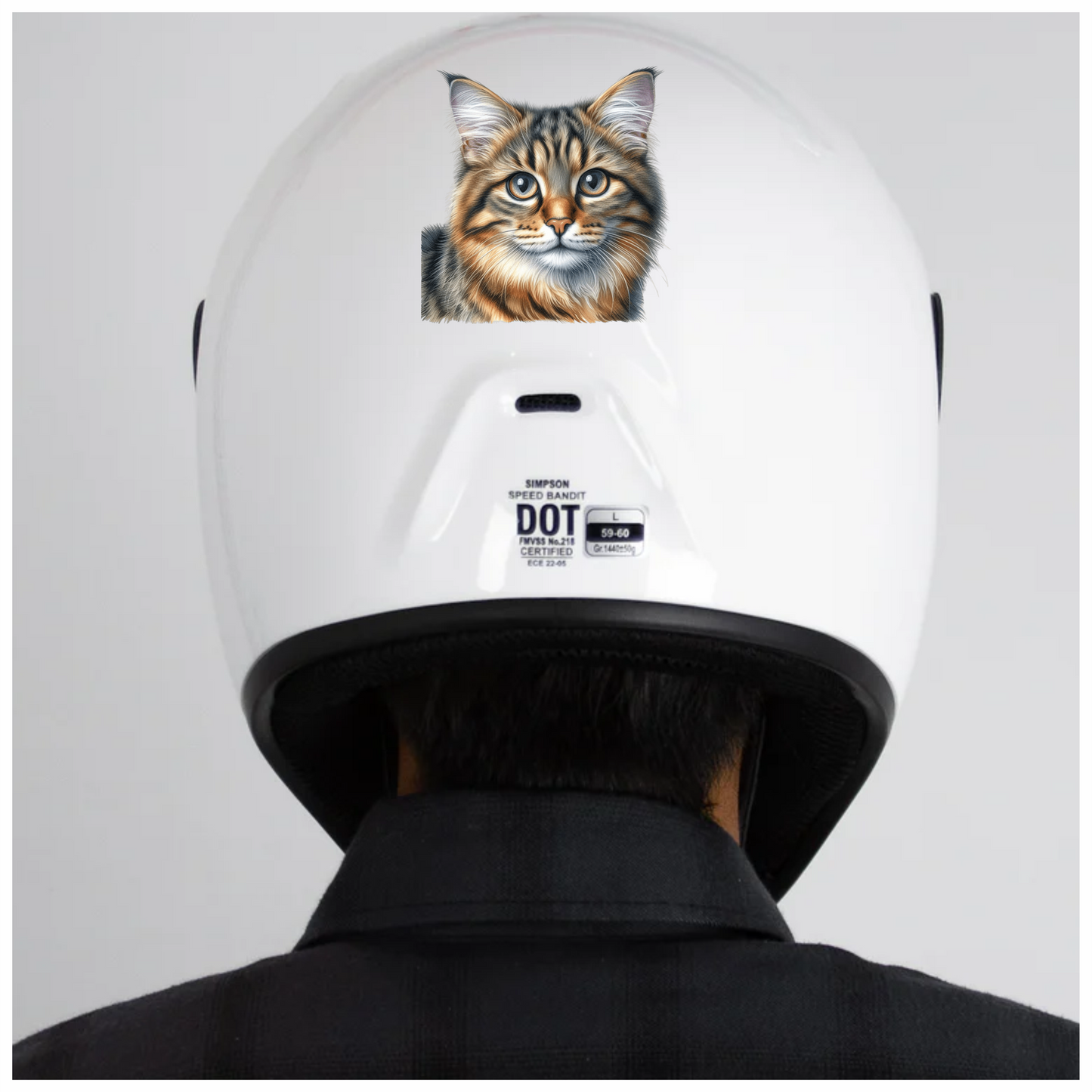 Brown Tabby Cat With Grey Eyes Vinyl Sticker Decal