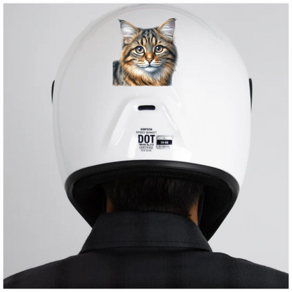 Brown Tabby Cat With Grey Eyes Vinyl Sticker Decal