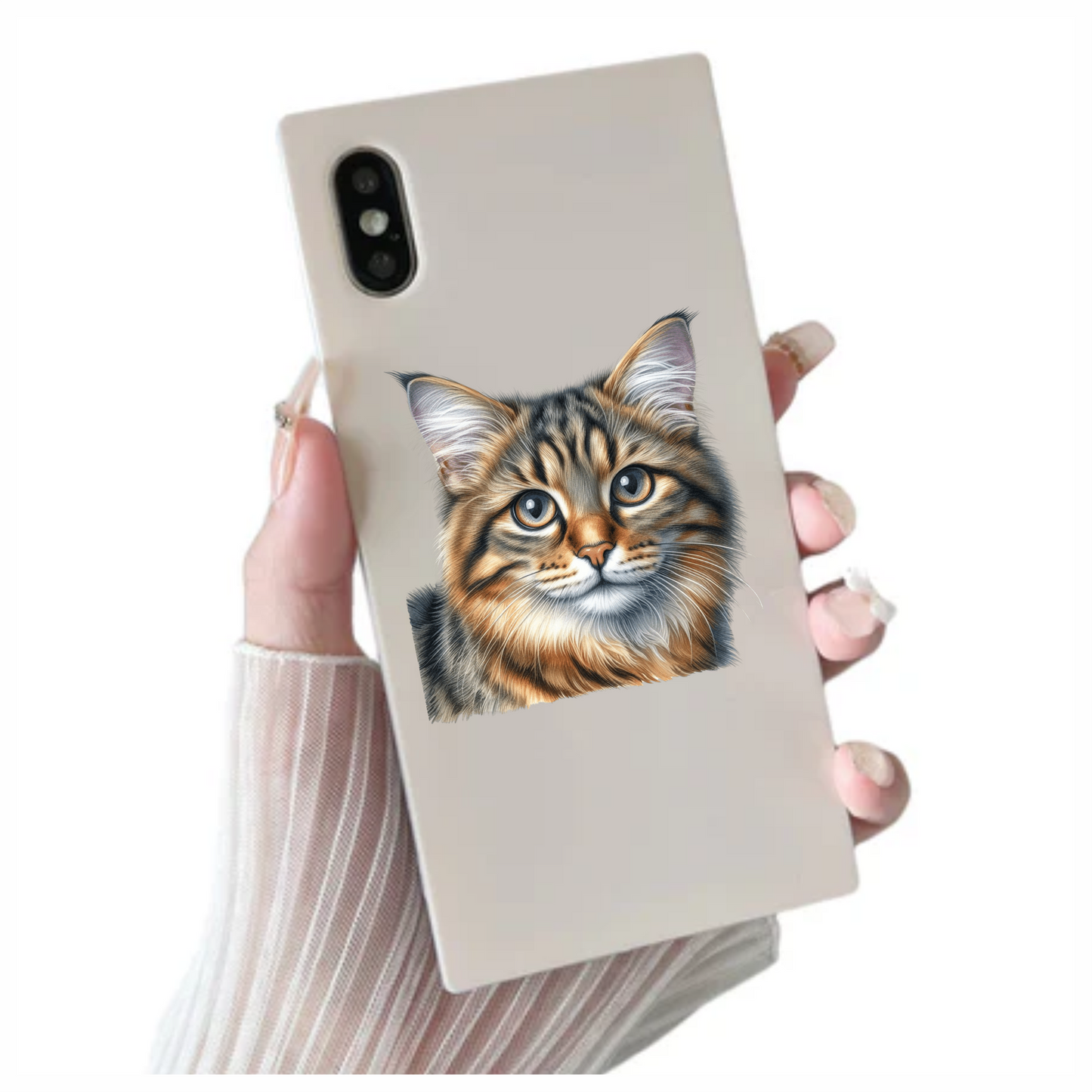 Brown Tabby Cat With Grey Eyes Vinyl Sticker Decal