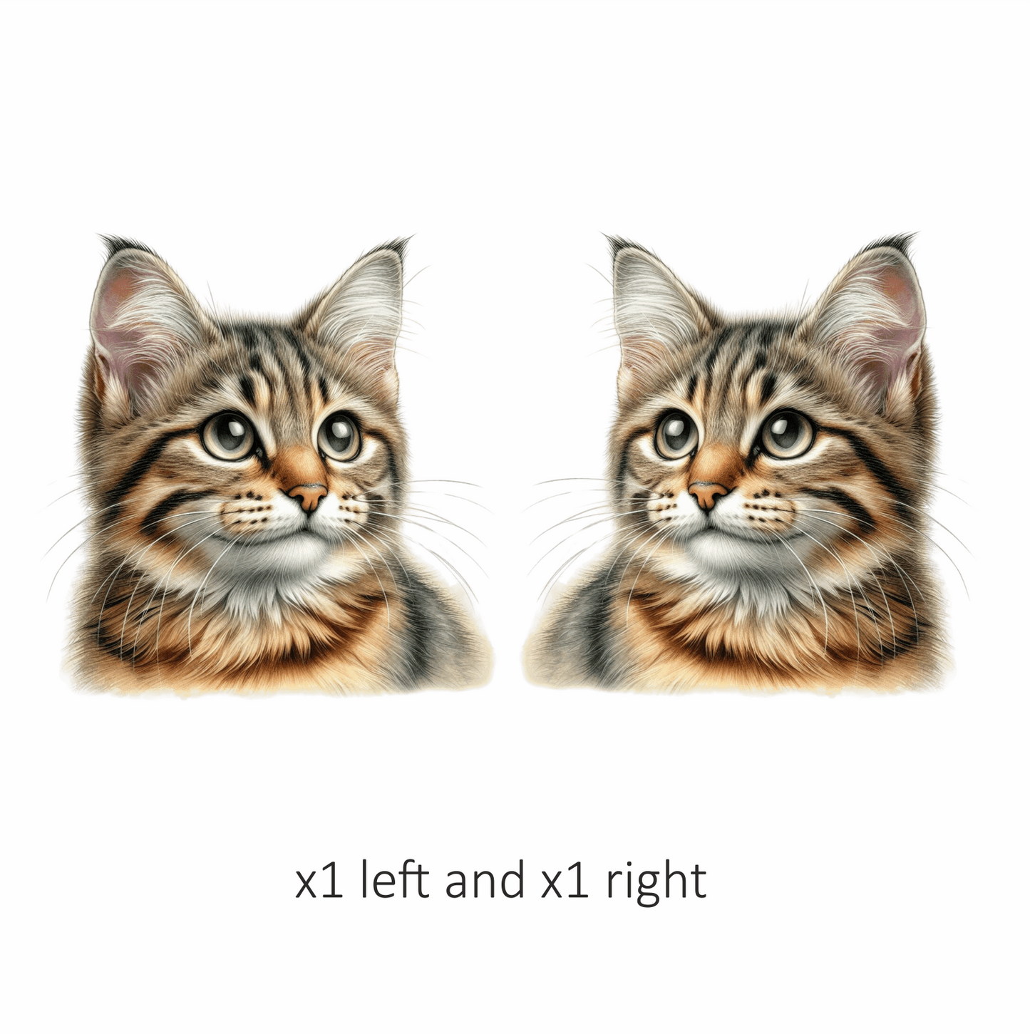 Brown Tabby Cat With Green Eyes Vinyl Sticker Decal