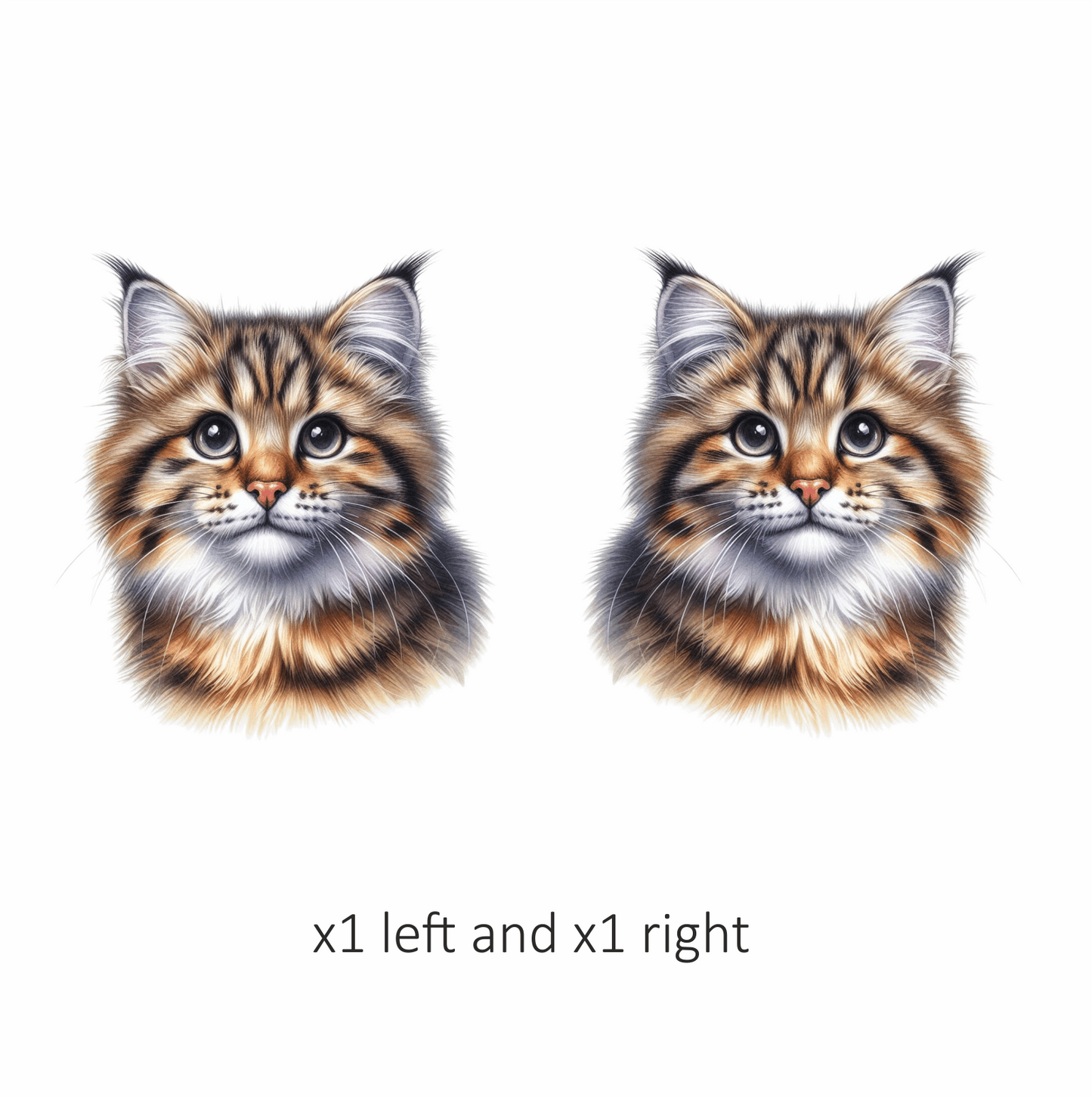 Brown Tabby Cat With Black Eyes Vinyl Sticker Decal