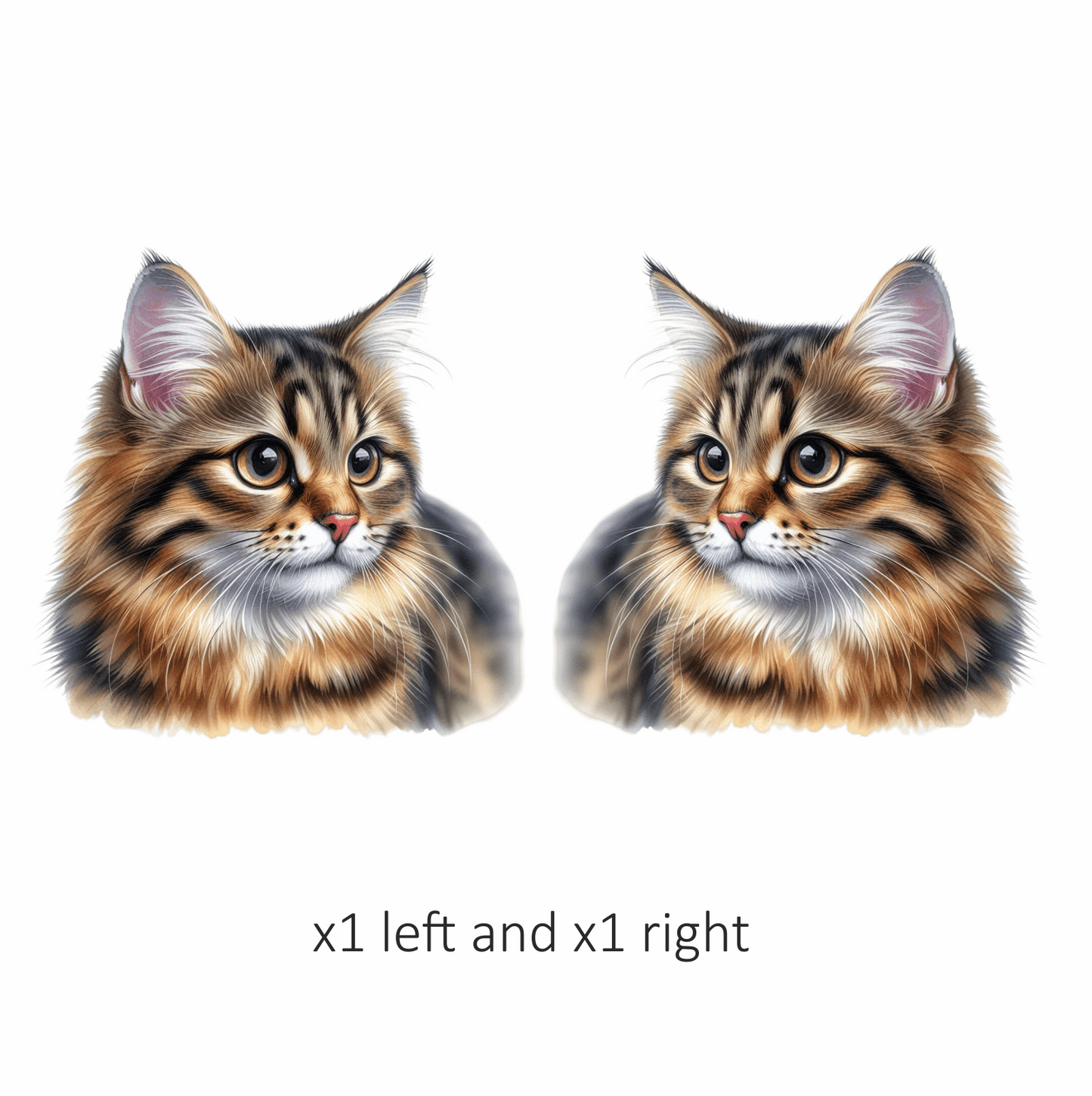 Brown Tabby Cat With Round Eyes Vinyl Sticker Decal