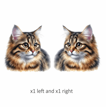 Brown Tabby Cat With Round Eyes Vinyl Sticker Decal