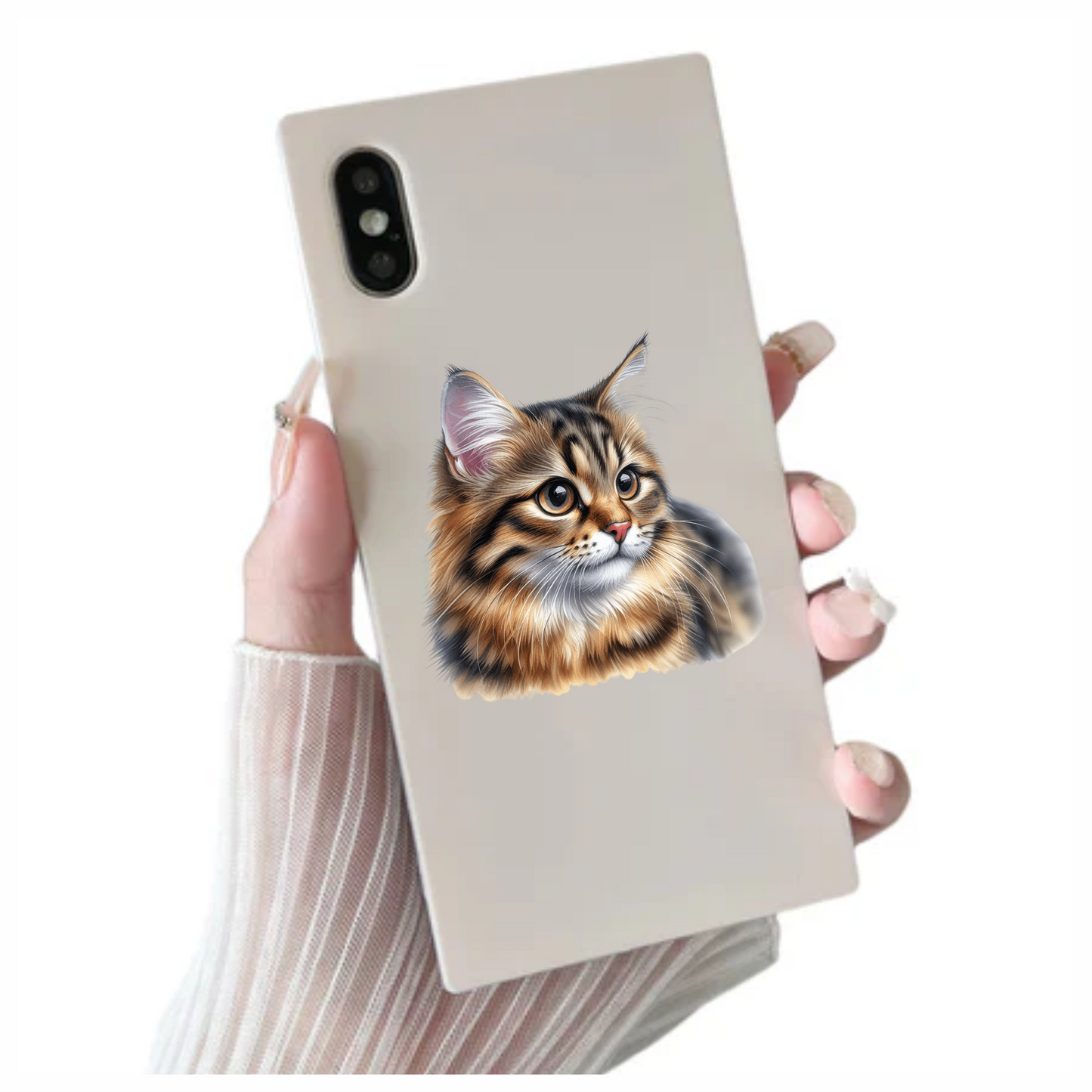 Brown Tabby Cat With Round Eyes Vinyl Sticker Decal